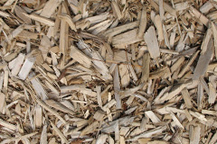 biomass boilers Worsthorne